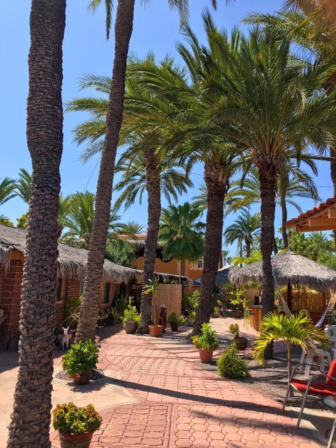 Sukasa Bungalows Loreto  Exterior photo